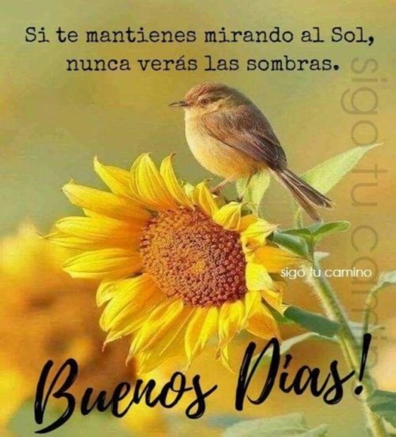 Buenos Días imagen 884