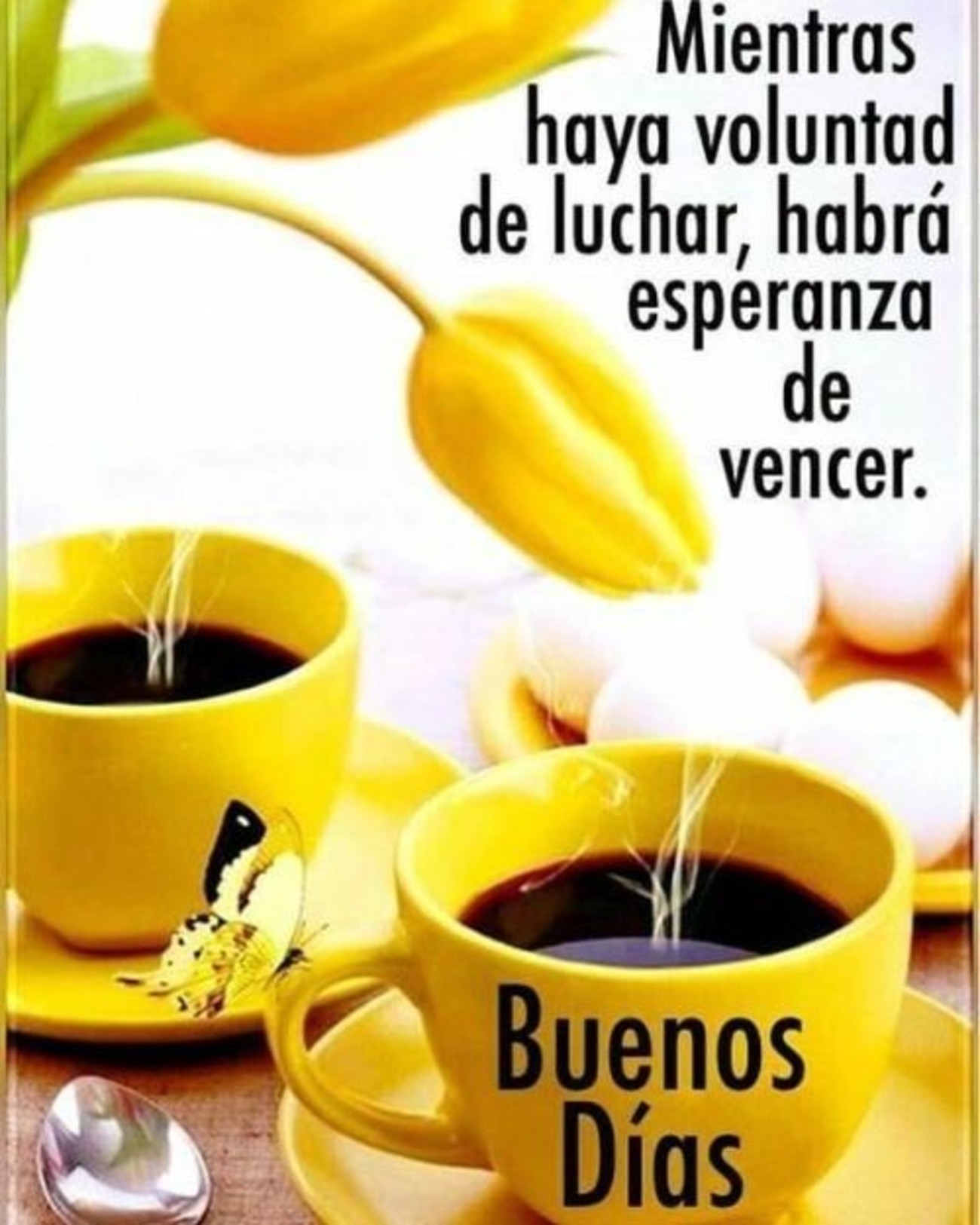 Buenos Días imágenes gratis 611