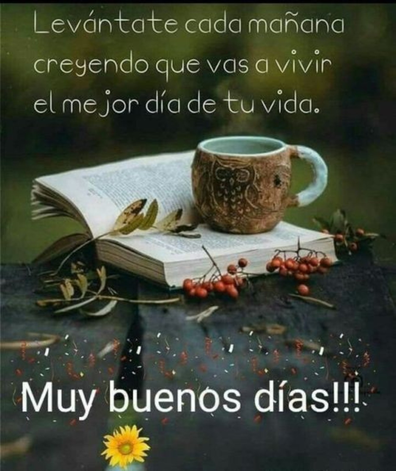 Feliz Día - BonitasImagenes.net