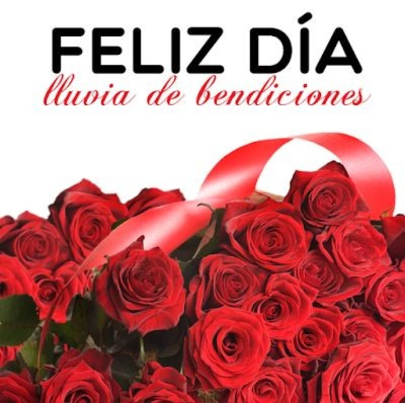 Feliz Dia lluvia de bendiciones 966