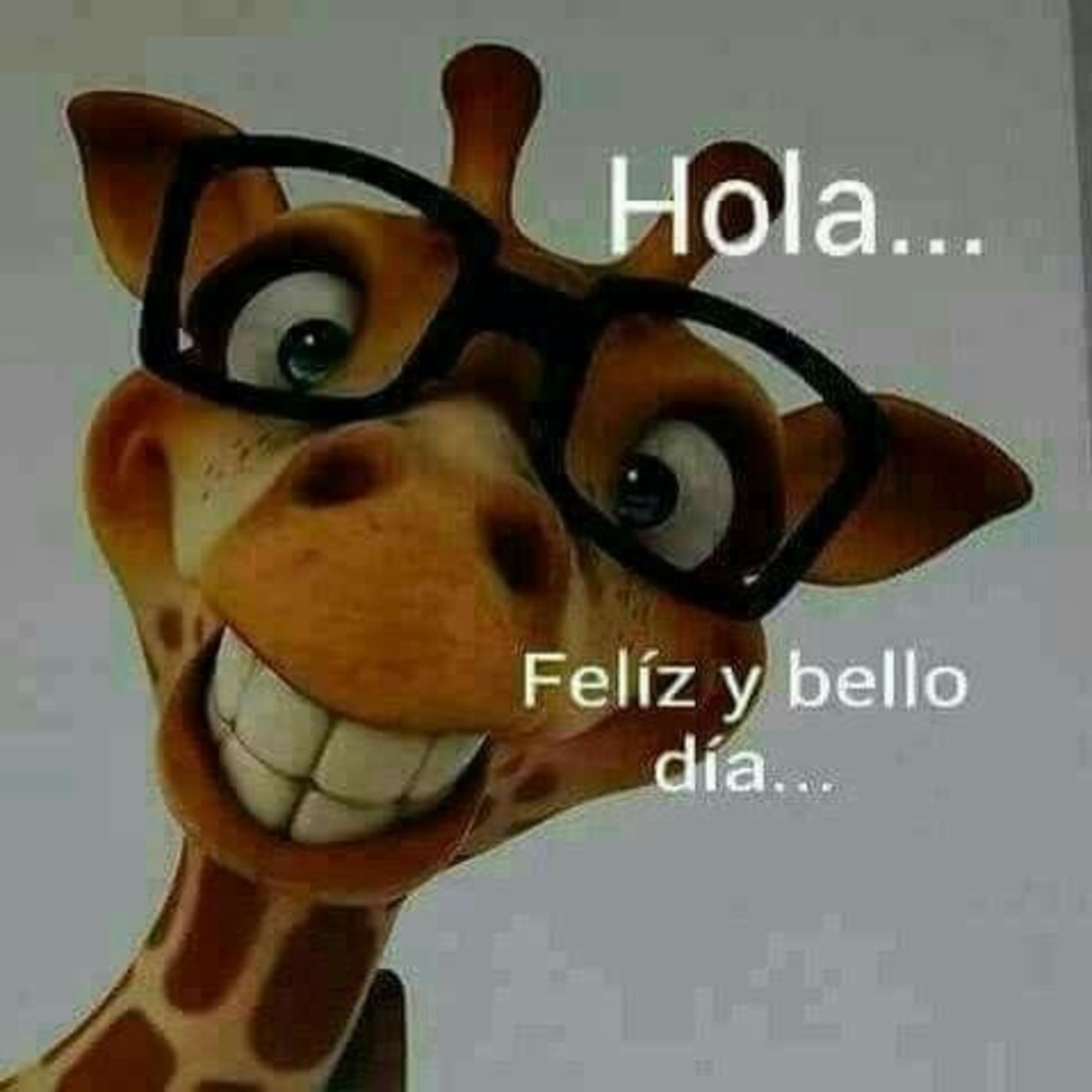 Hola Feliz y Bello Dia 939