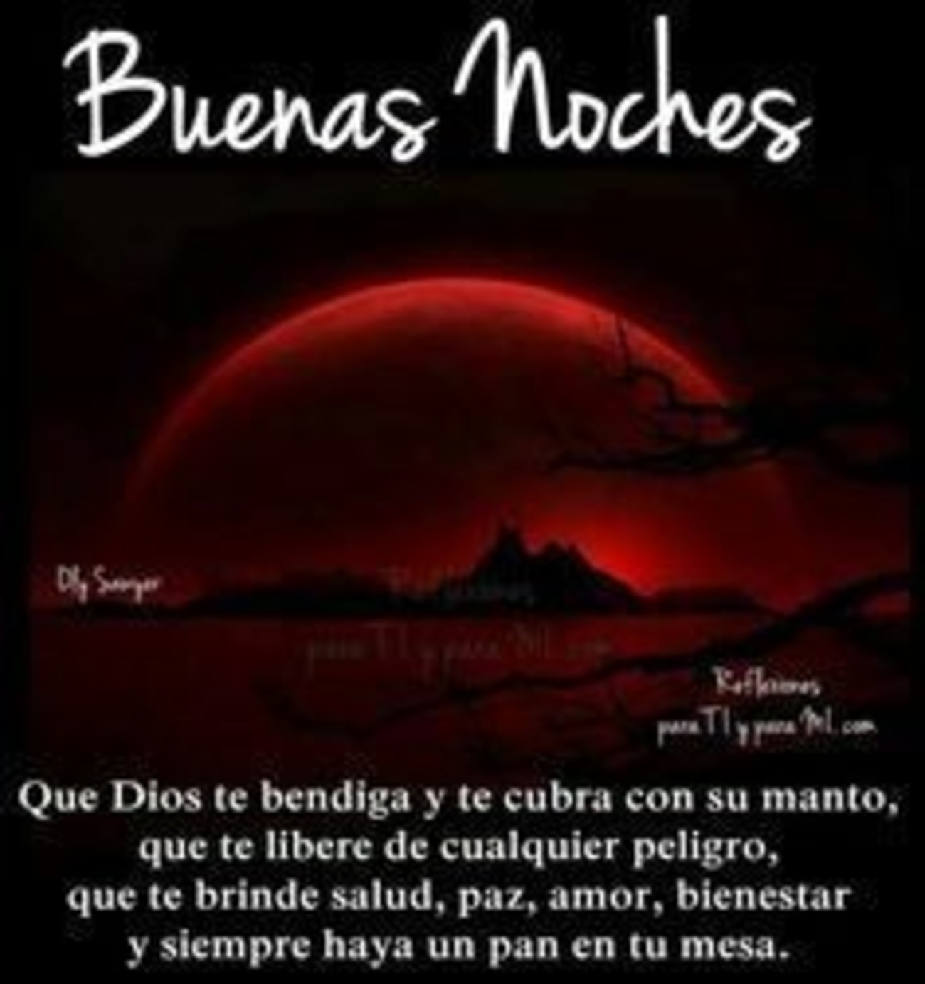 Imagenes de Buenas Noches frases bonitas 977