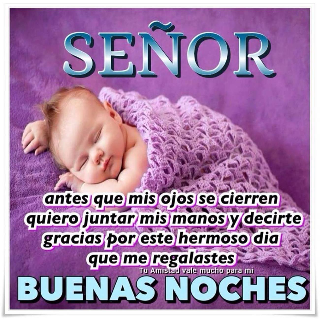 Señor Buenas Noches 508 Archives Señor Buenas Noches 508 Archives