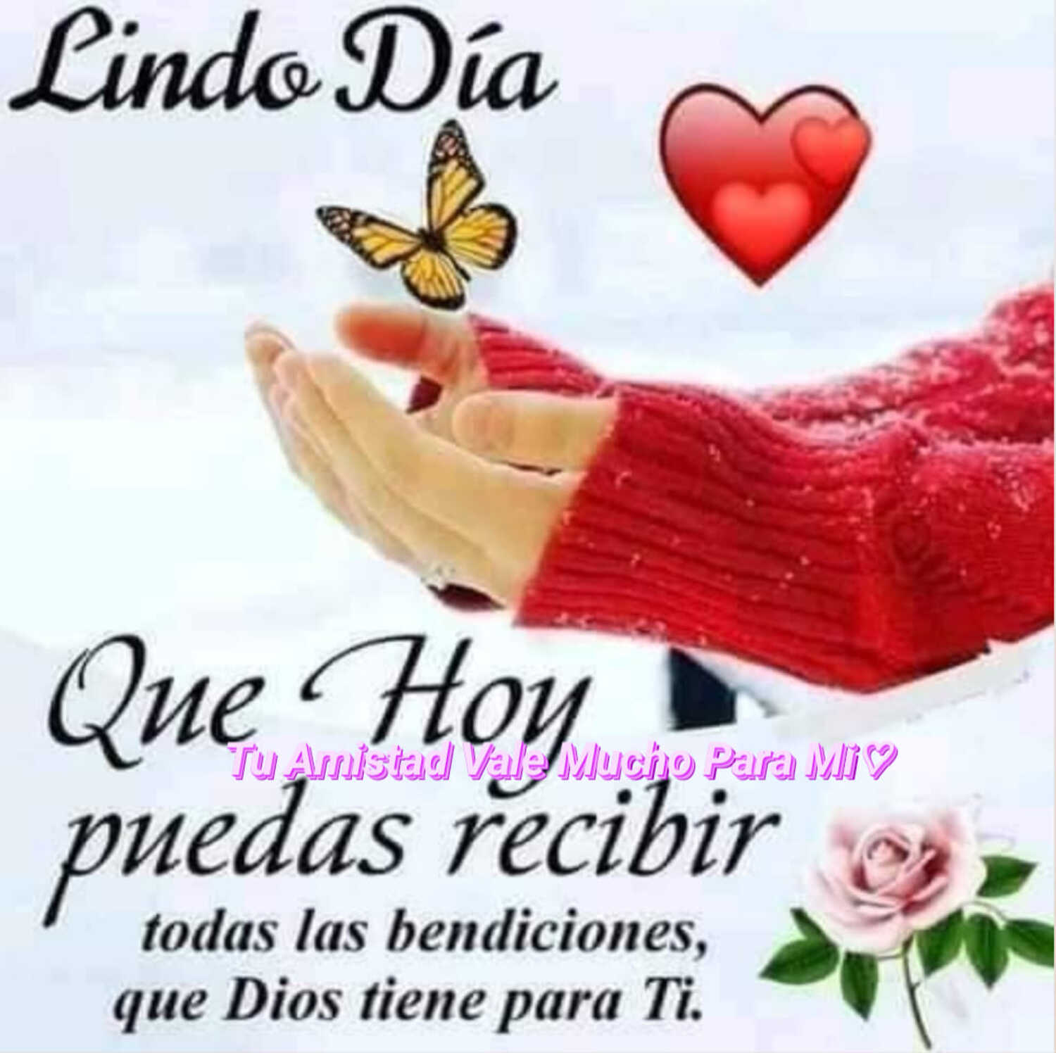 Frases imágenes hermosas de Buenos Días para Fb y WhatsApp 1