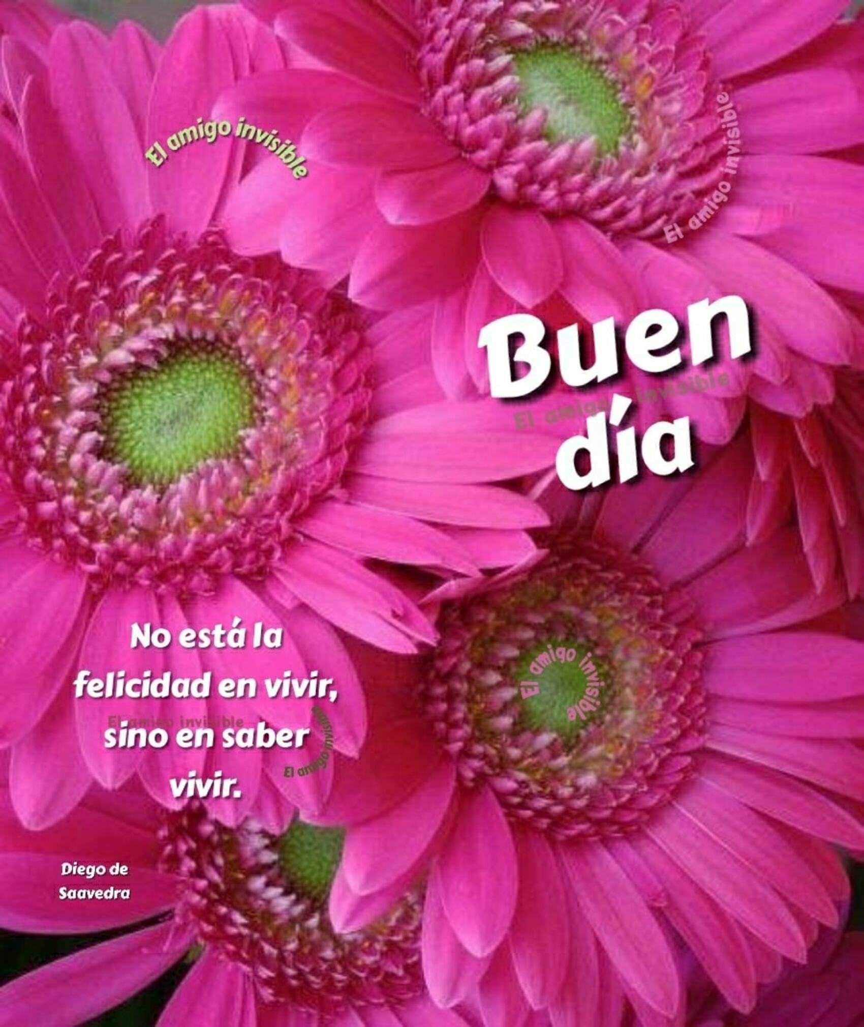 Buen día no está la felicidad en vivir sino en saber vivir