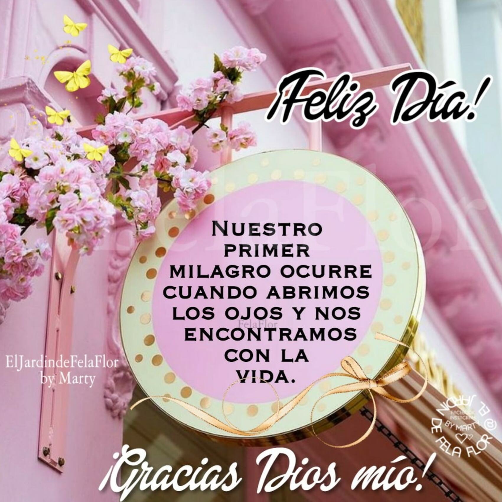 Feliz Día gracias Dios mío