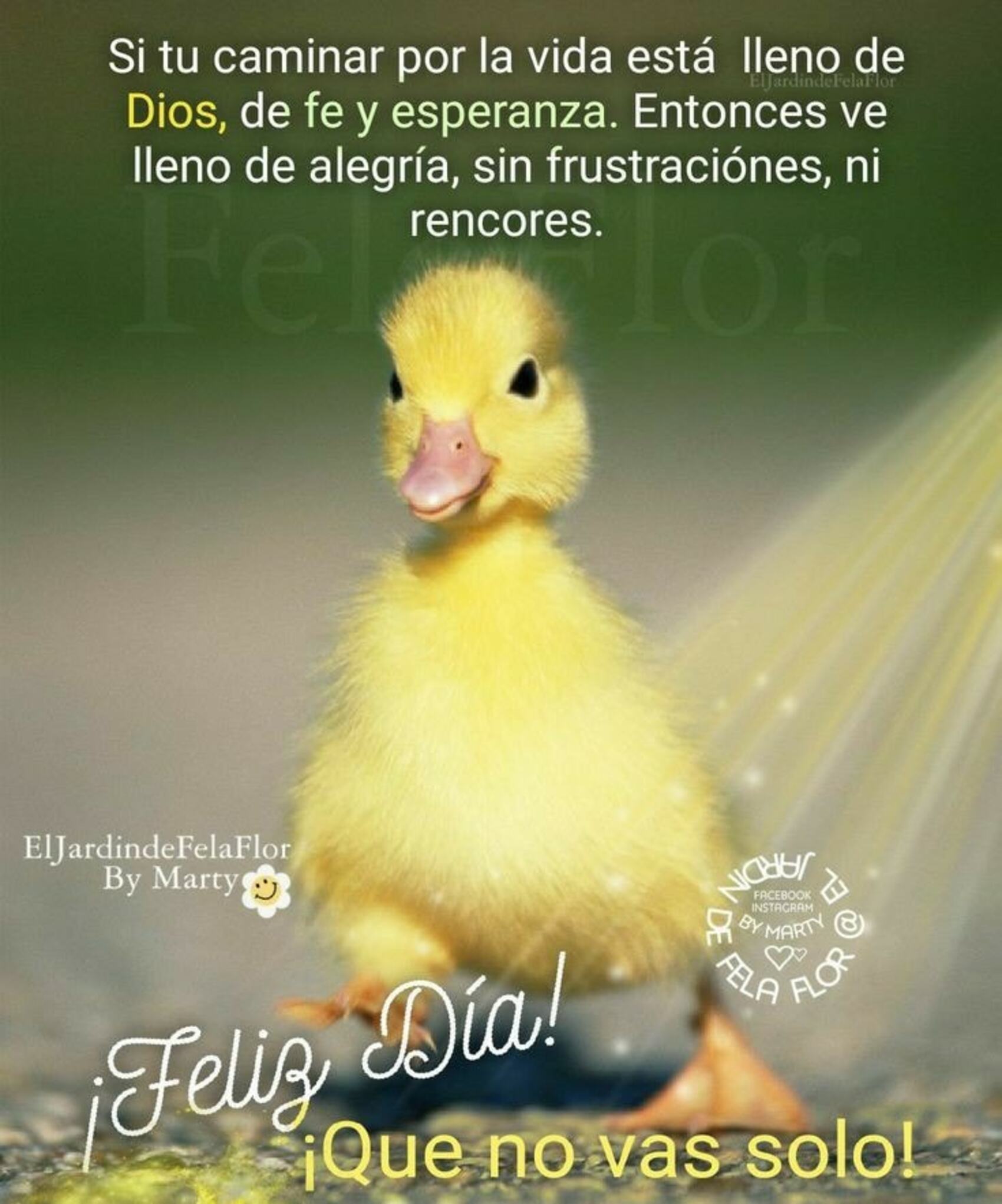 Feliz Día si tu caminar por la vida está lleno de Dios de fe y esperanza