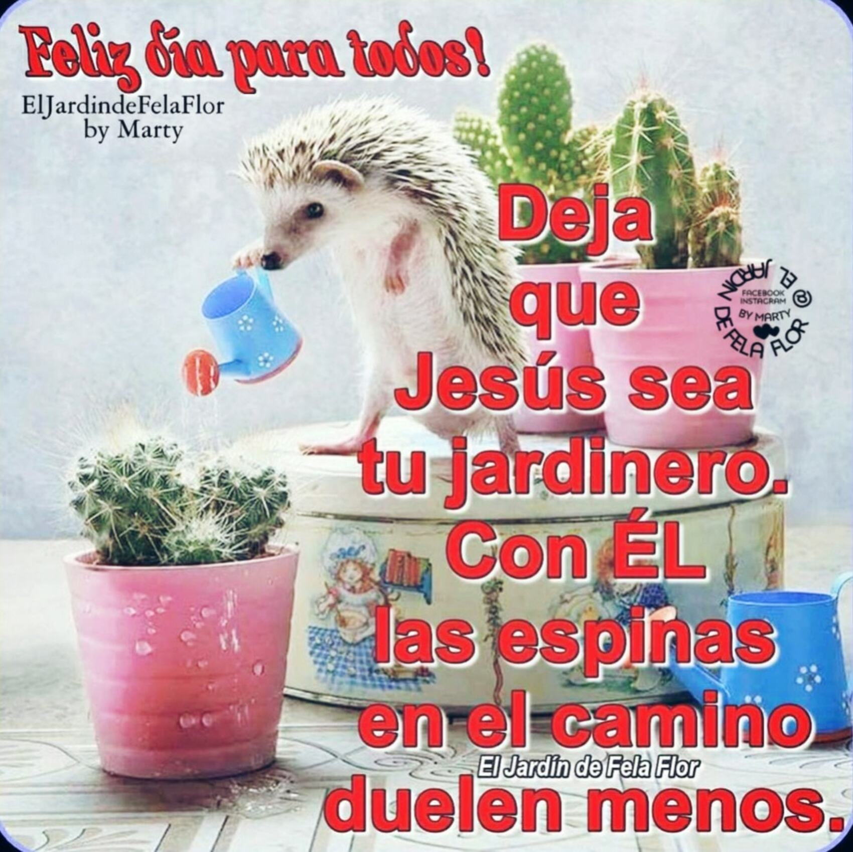 Feliz día para todos deja que Jesús sea tu jardinero