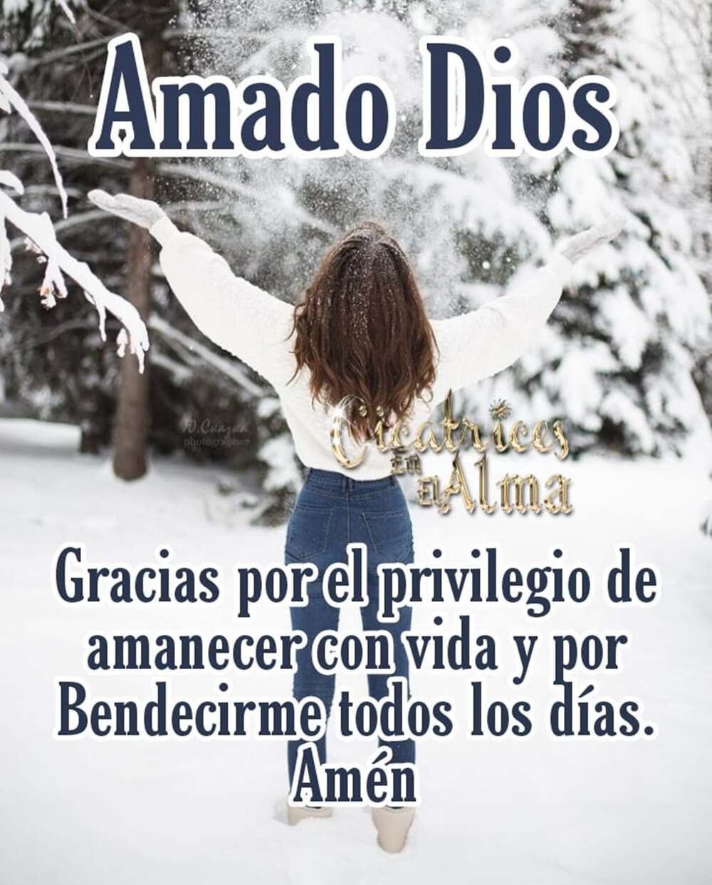 Amado Dios gracias por el privilegio de amanecer con vida y por bendecirme todos los días Amén