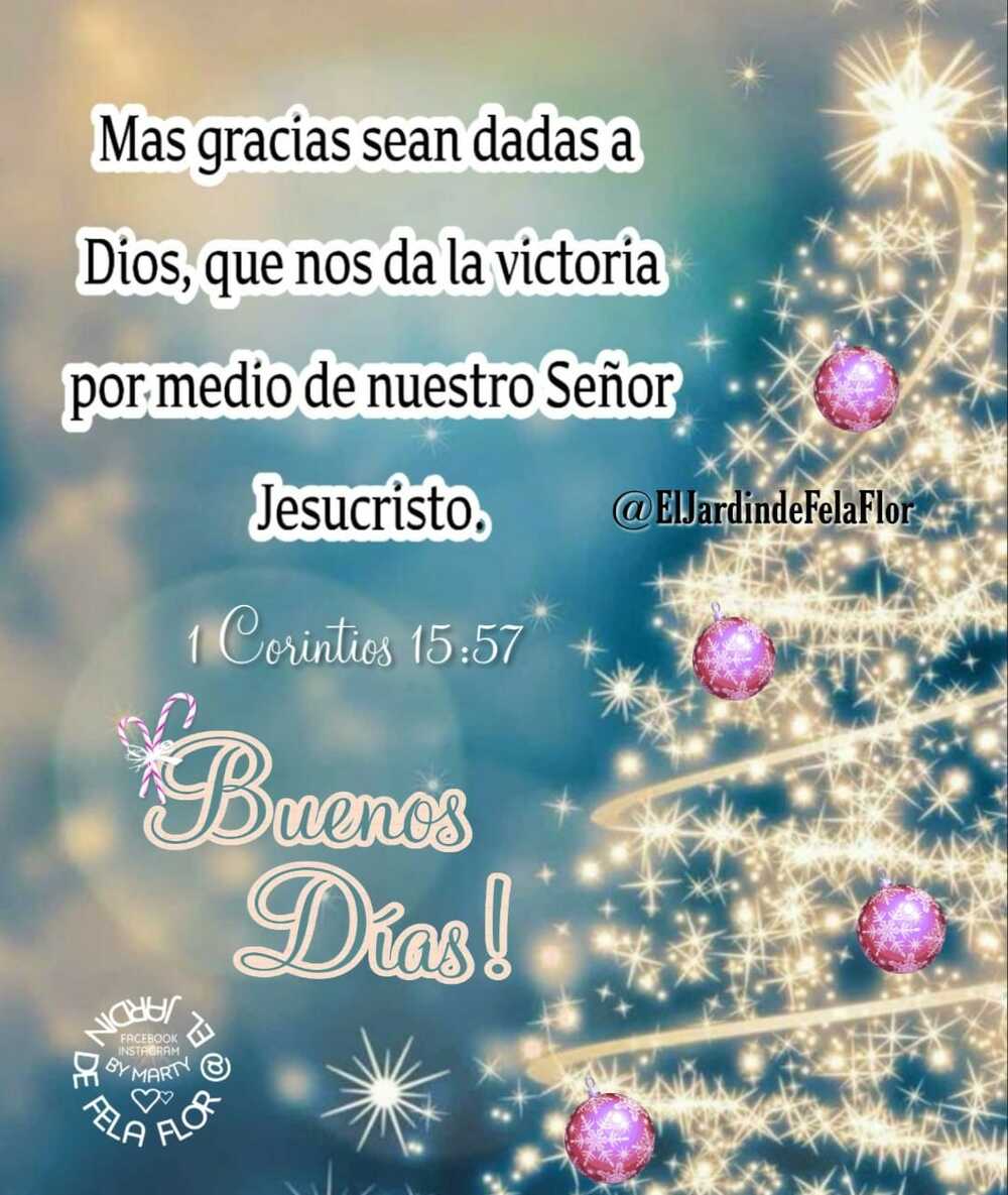 Buenos Días Navidad (2)