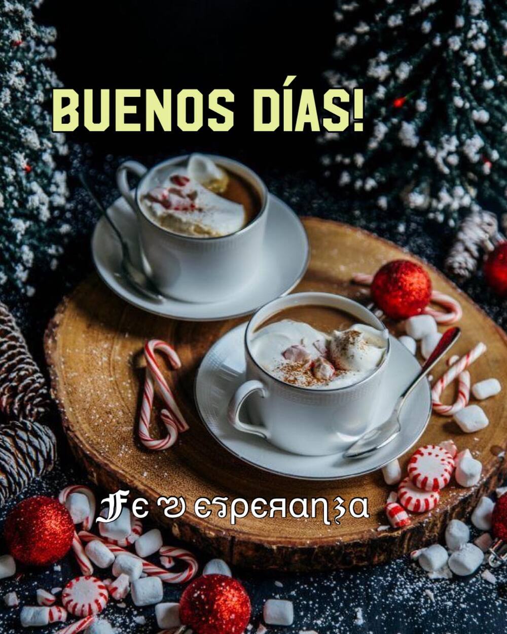 Buenos Días Navidad (5)