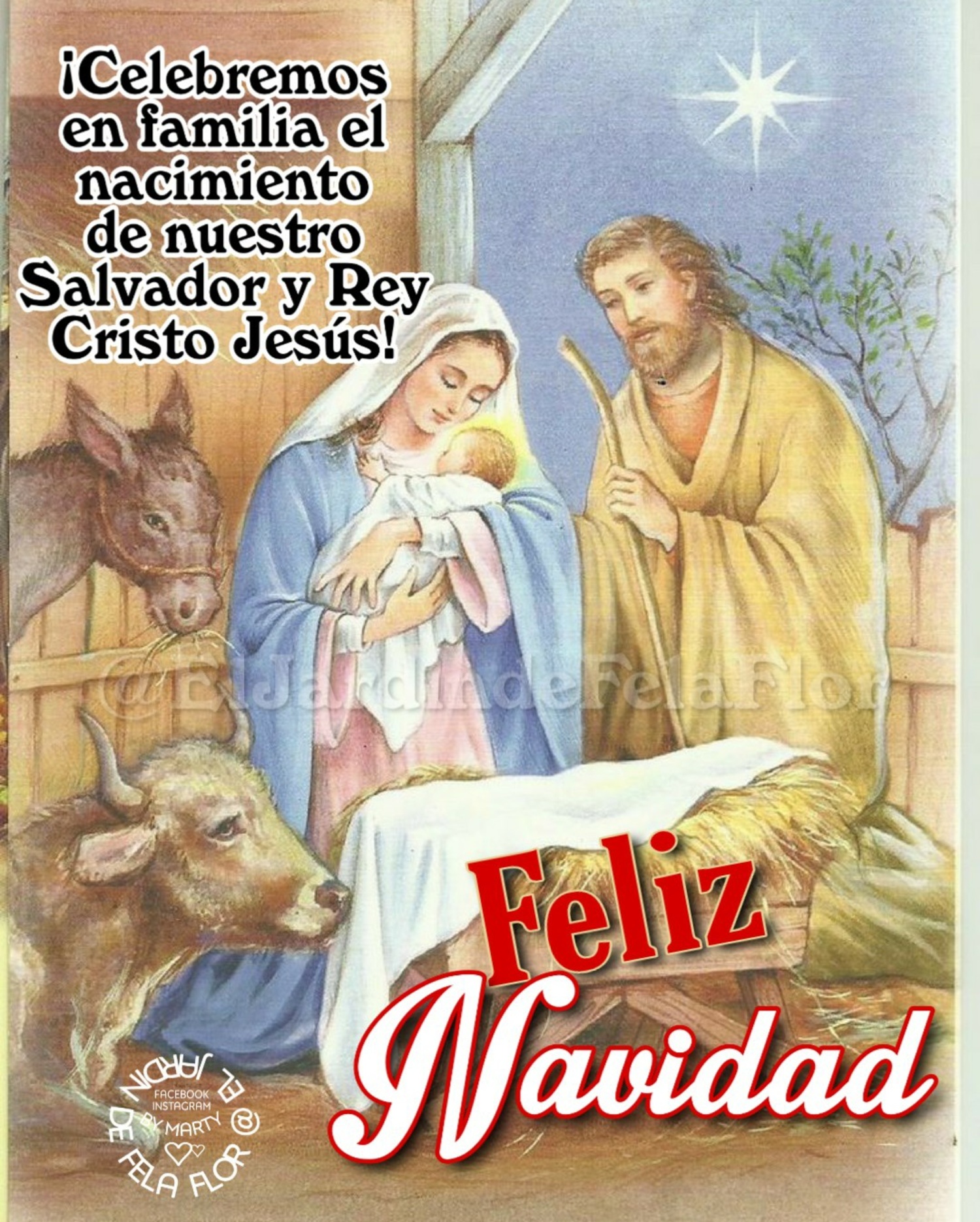 Celebremos en familia el nacimiento de nuestro Salvador y Rey Cristo Jesús