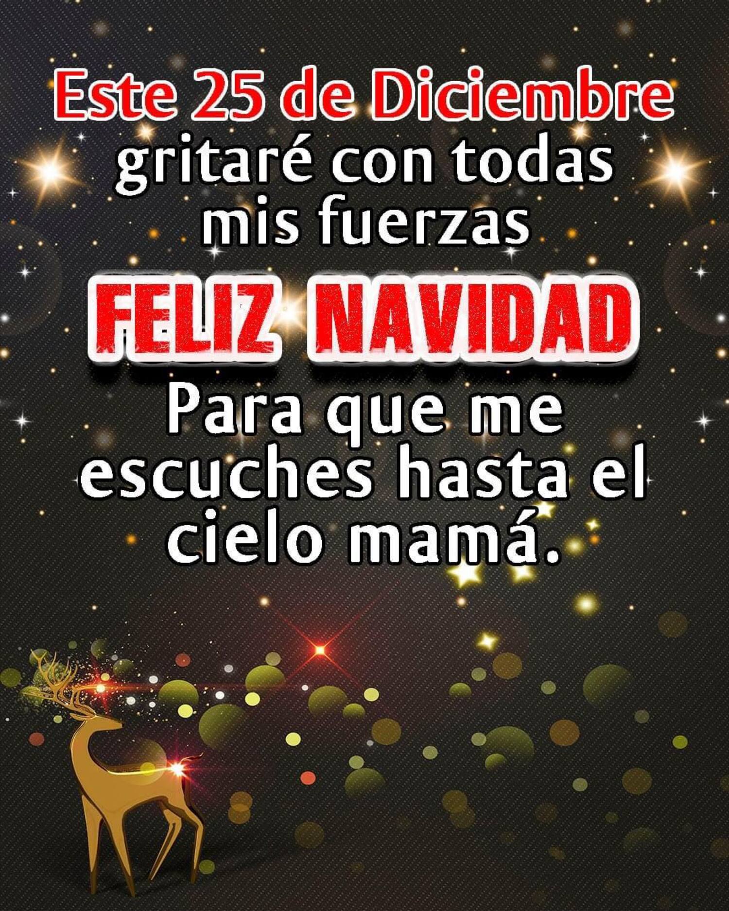 Este 25 de Diciembre gritaré con todas mis fuerzas Feliz Navidad