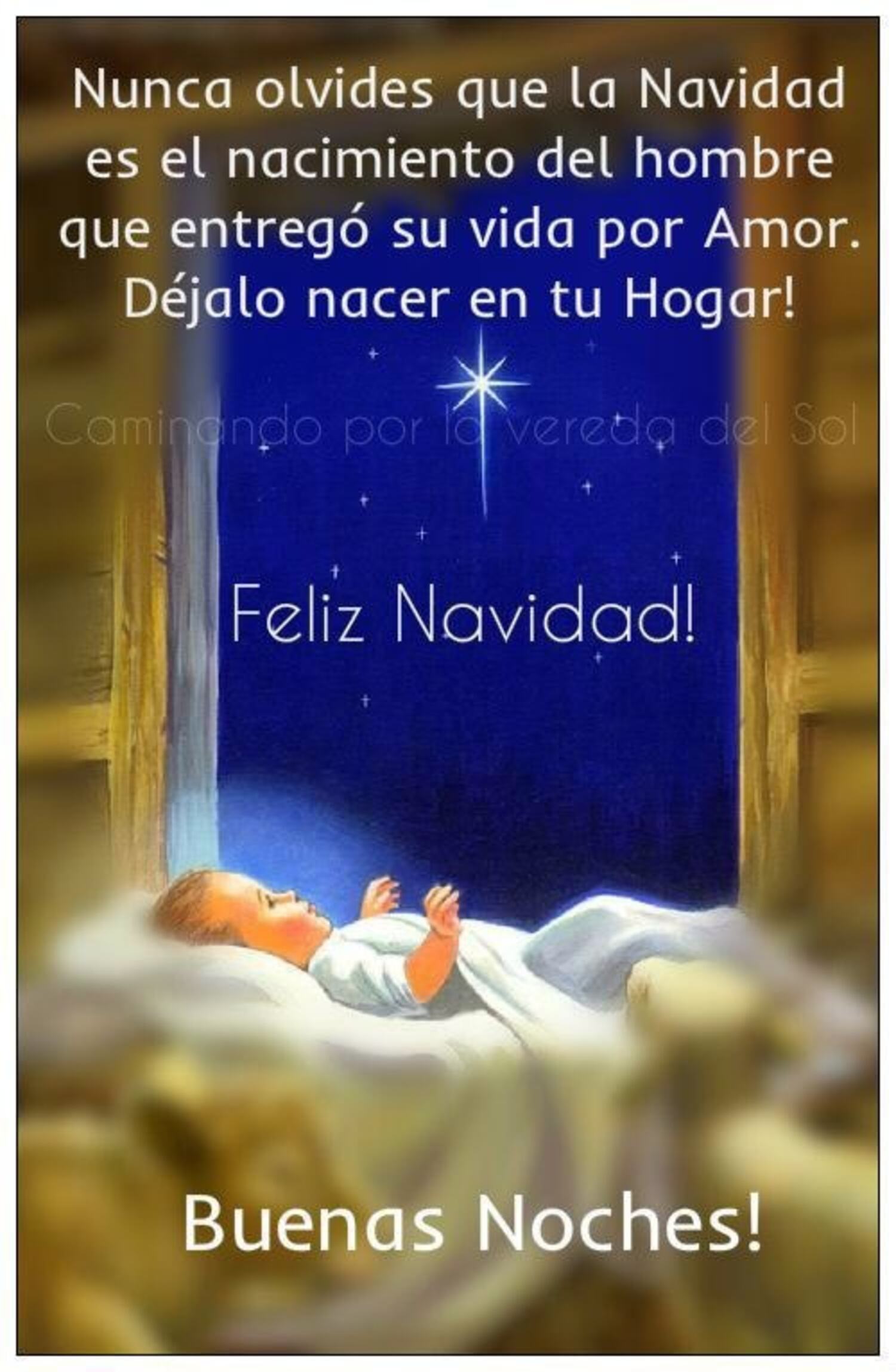 Feliz Navidad (3)