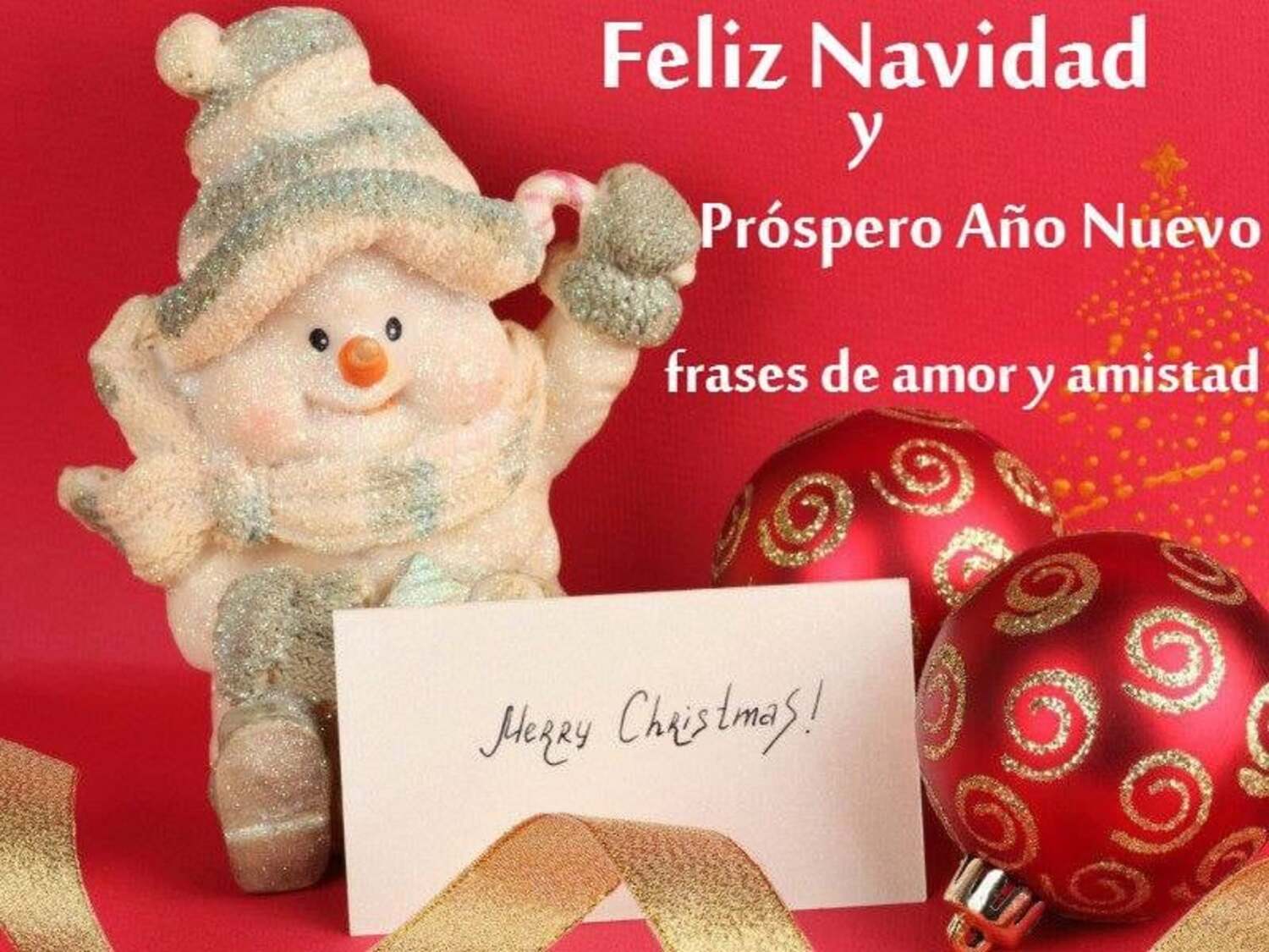 Feliz Navidad y Próspero Año Nuevo