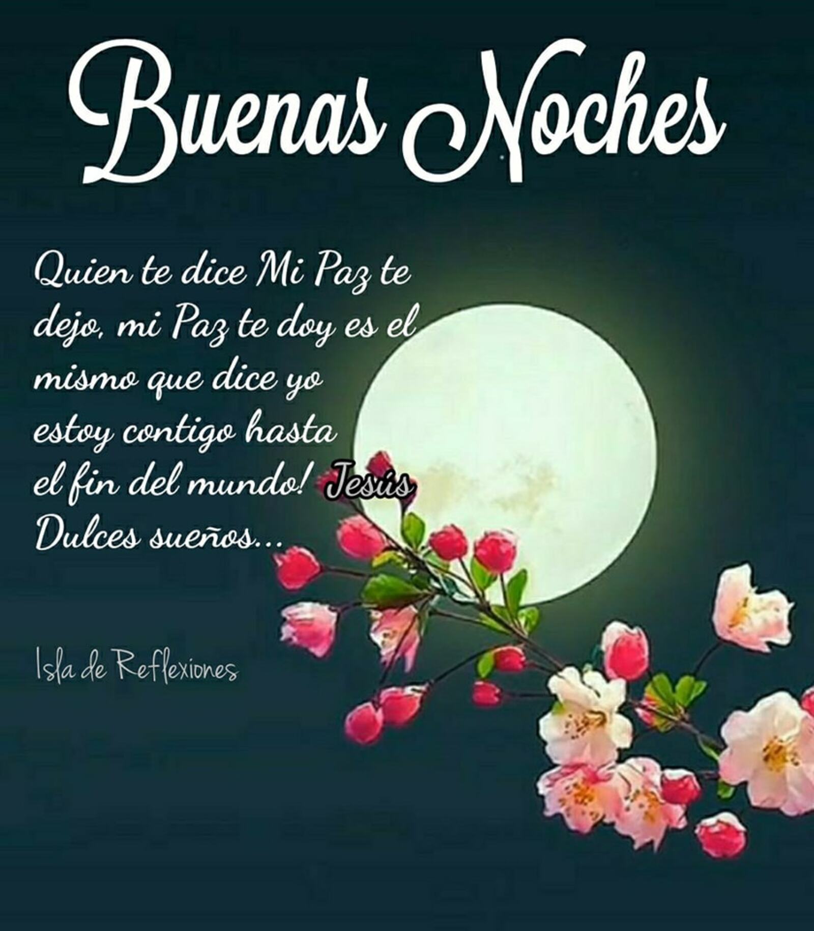 Buenas Noches Quien Te Dice Mi Paz Te Dejo Mi Paz Te Doy Es El Mismo 