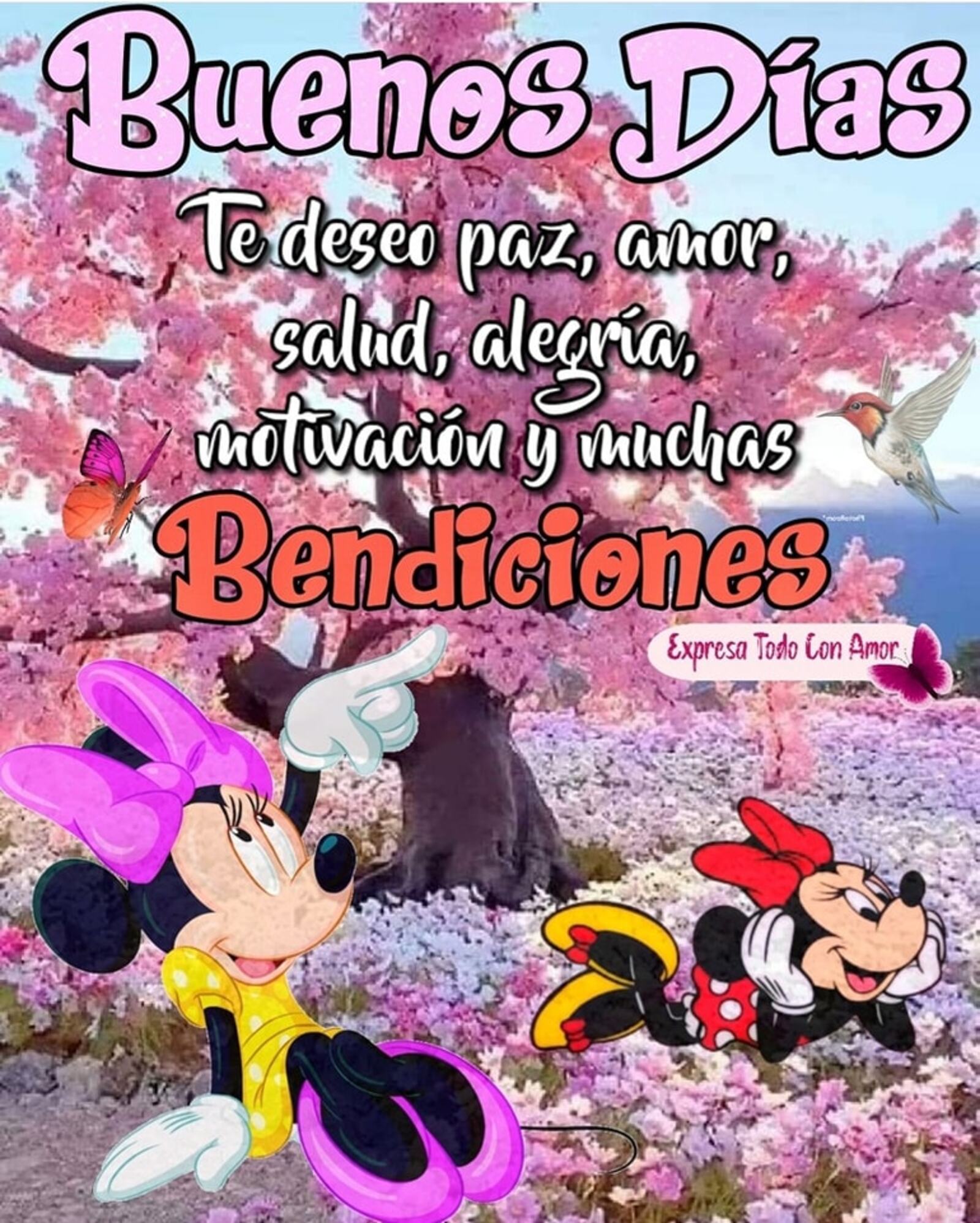 Buenos Días te deseo paz amor salud alegría motivación y muchas bendiciones