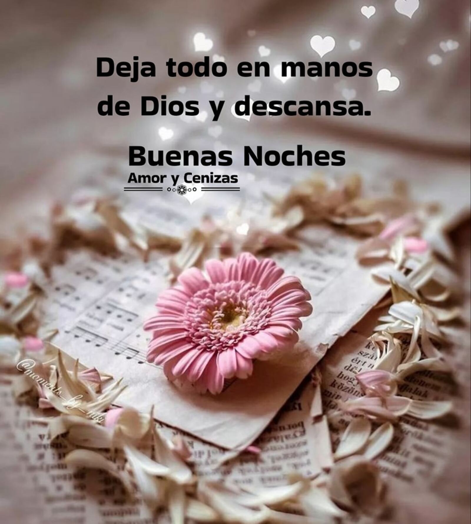 Deja todo en manos de Dios y descansa buenas noches