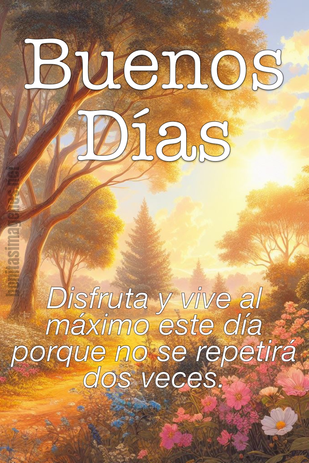 Buenos Días disfruta y vive al máximo este día